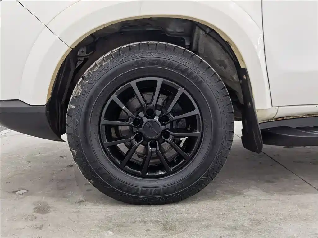 JIANGLING DOMAIN TIGER 3