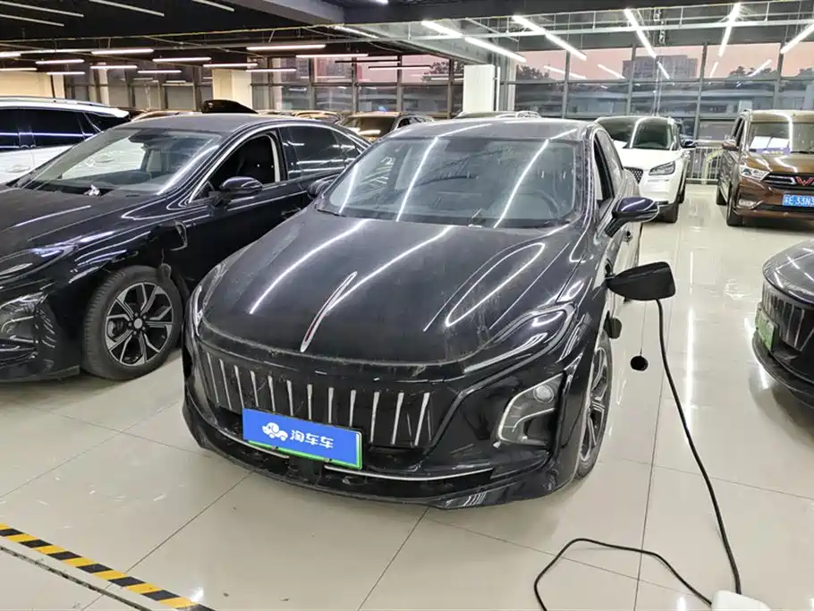 Hongqi HONGQI E QM5