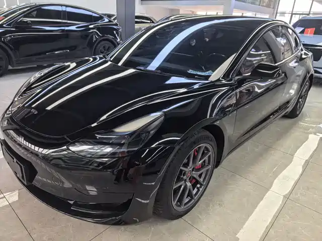 TESLA MODEL 3 2022