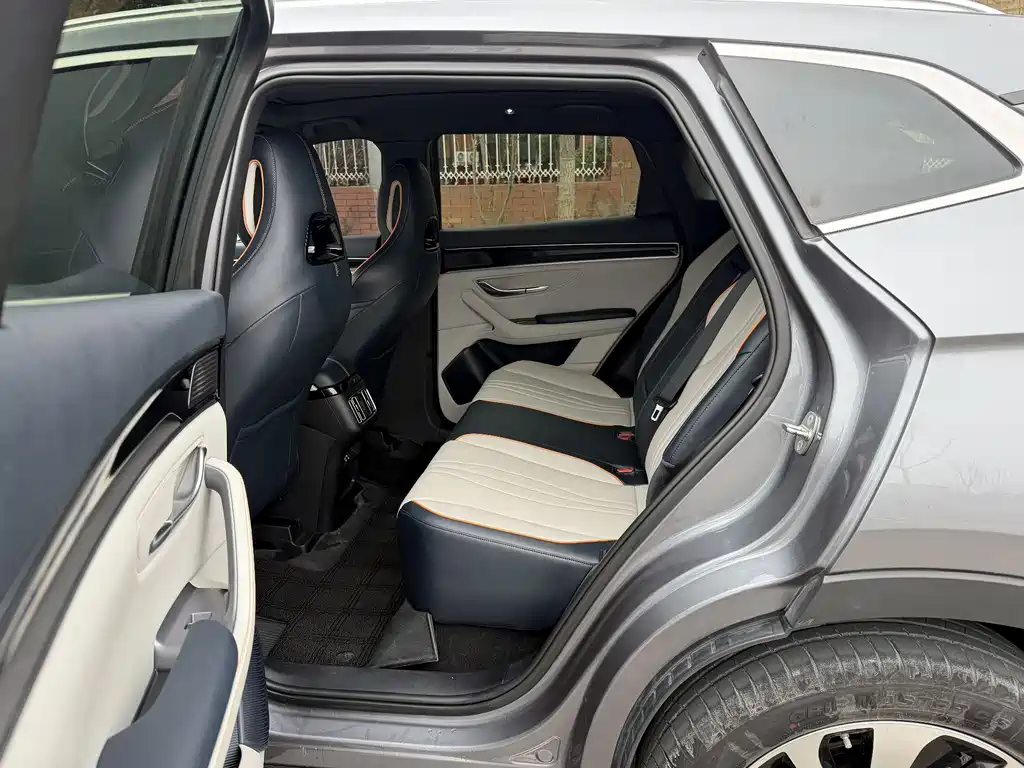 BYD SONGJIANG NEW ENERGY