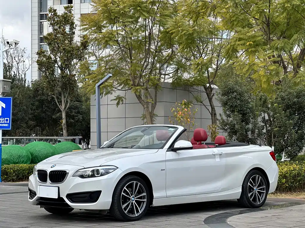BMW 2 SERIES