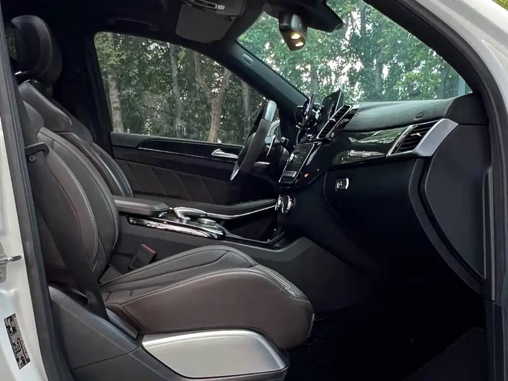 Mercedes-Benz GLS AMG — миниатюра 21