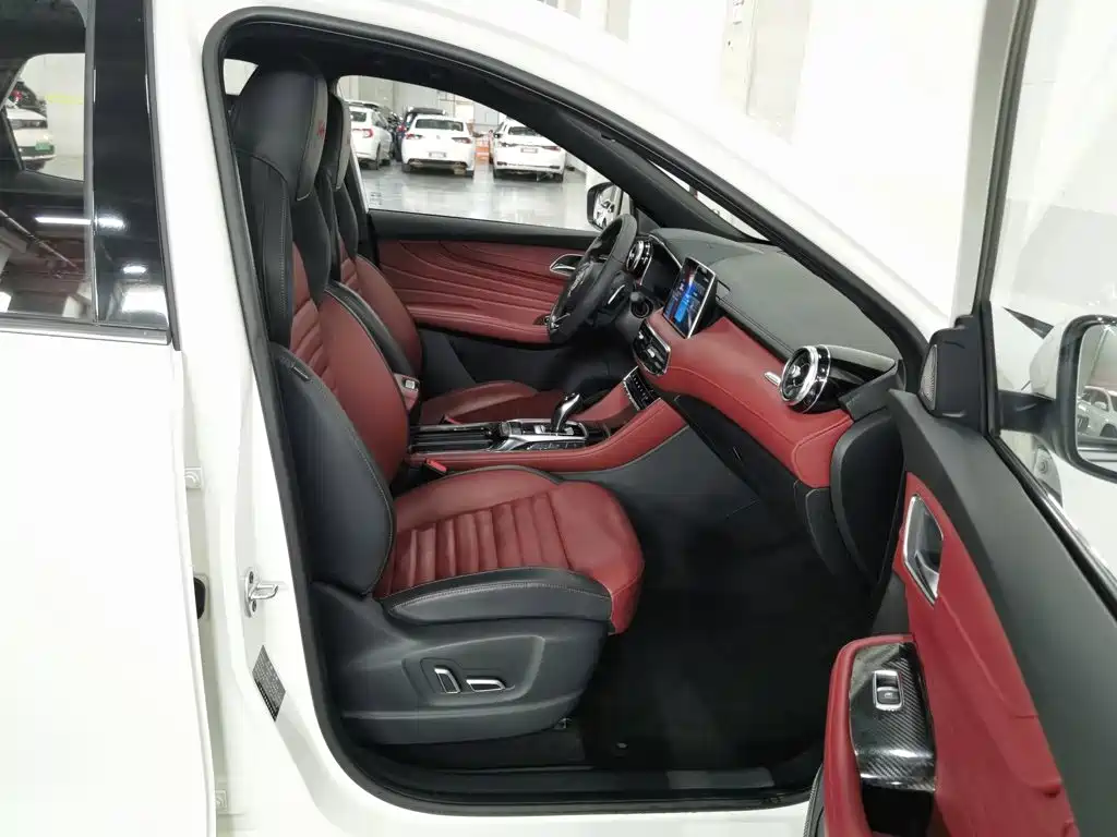 MG HS — миниатюра 23