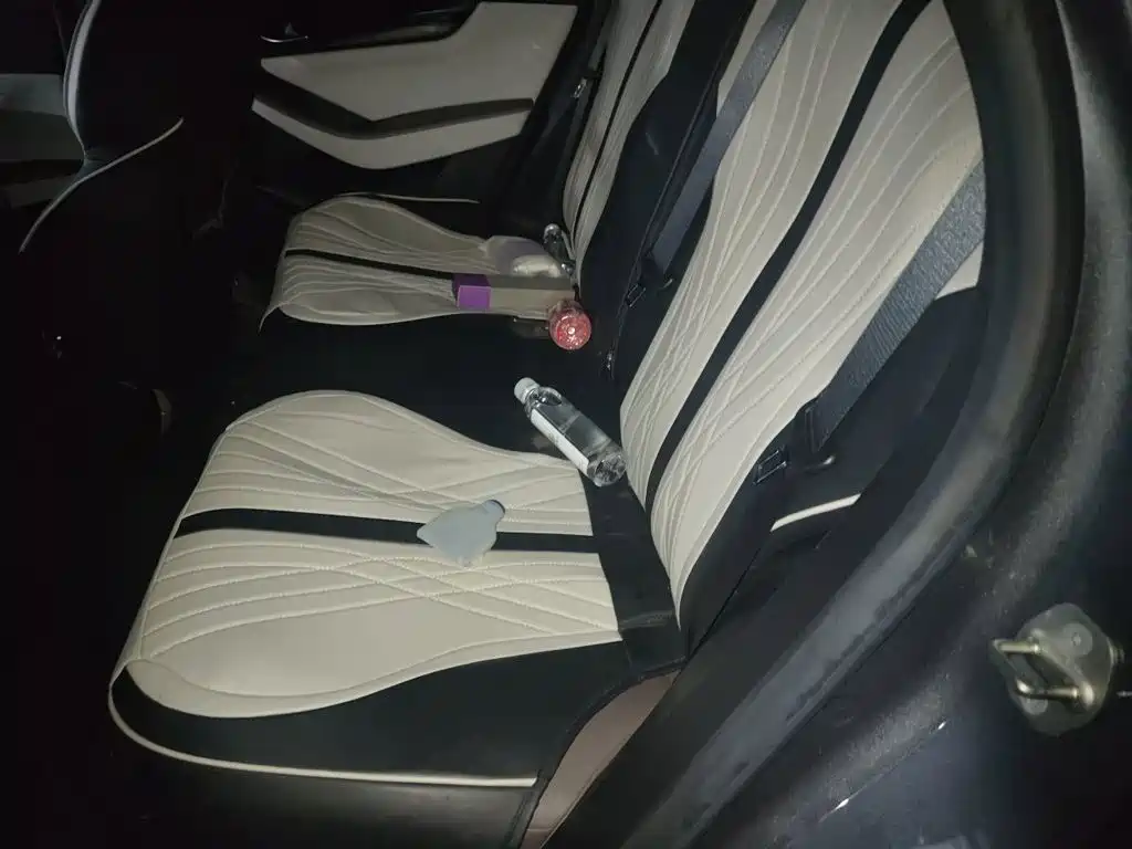 BYD Qin PLUS — миниатюра 13