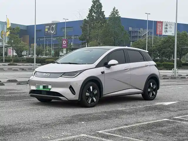 2025 BYD Dolphin