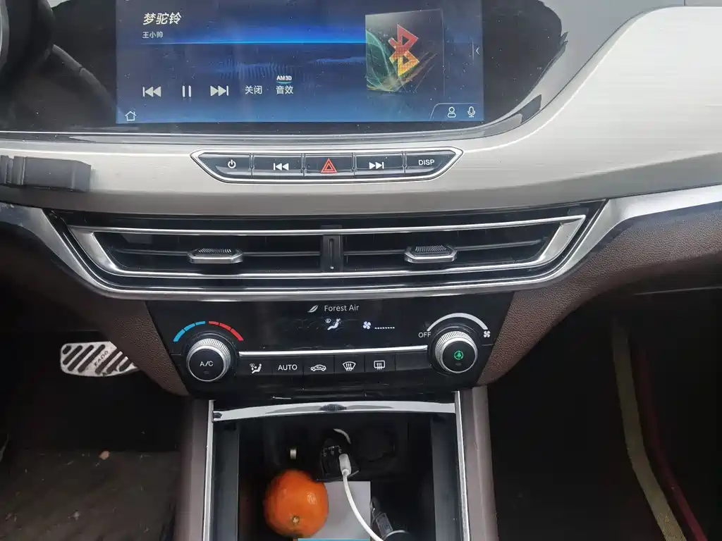 CHANGAN YIDONG NEW ENERGY