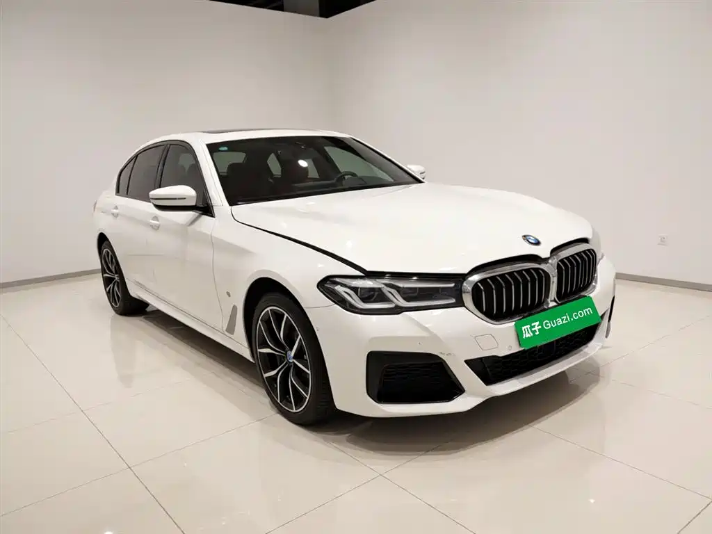 BMW 5 Series 5 2021 530Li Premium M Sport