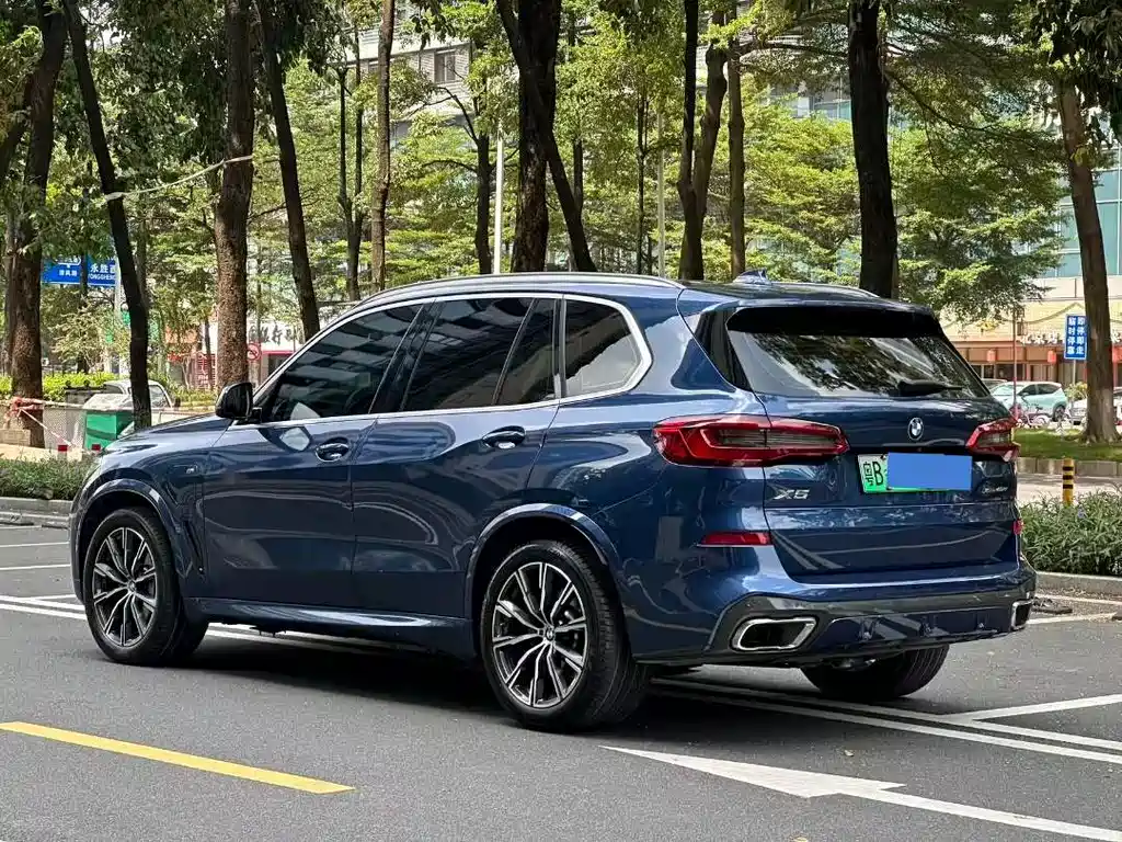 BMW X5 New Energy (Import) — миниатюра 4