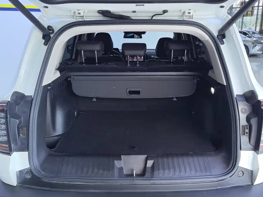 Haval Dargo 2.0T DCT 2WD Mid Splendid Hunt Dog Edition, фото 4