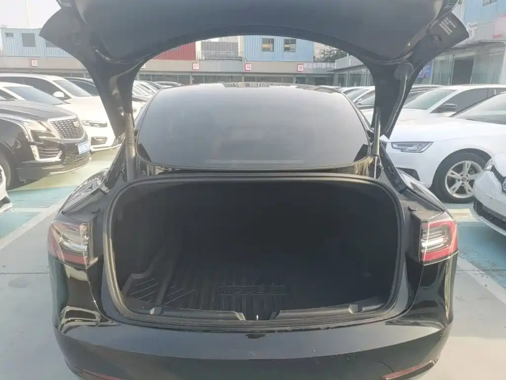 Tesla Model 3 — миниатюра 19