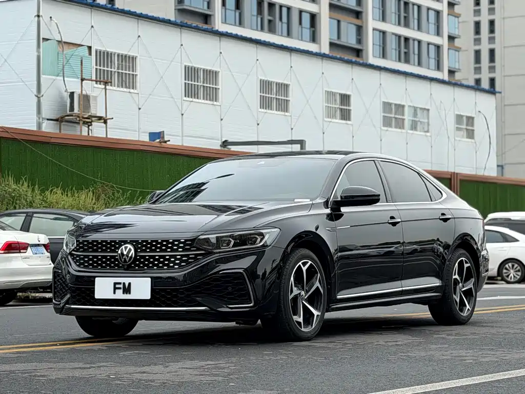 Volkswagen Passat — миниатюра 2