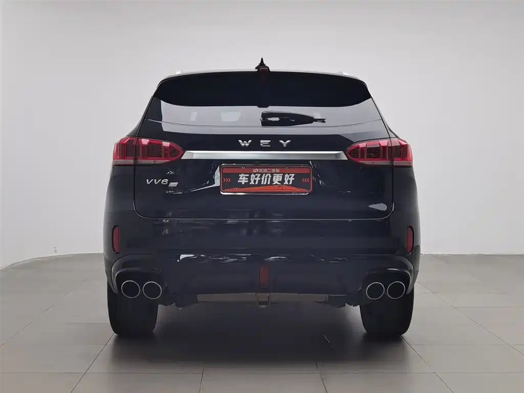 WEI PAI WEI BRAND VV6