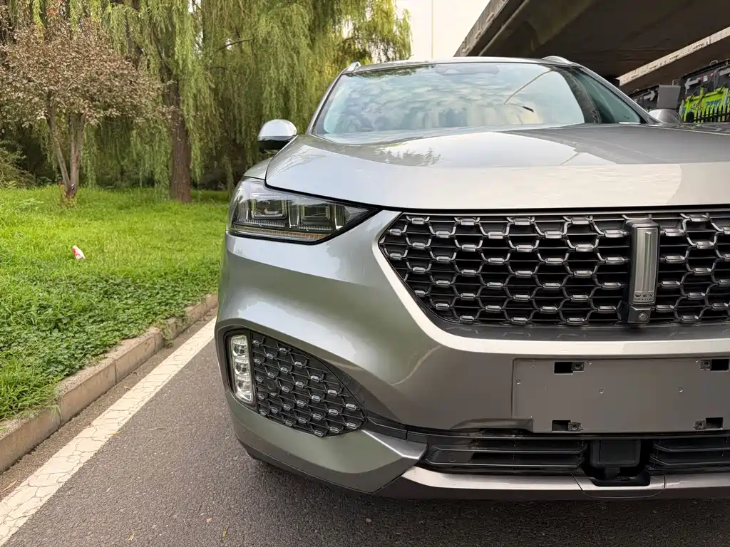 Wey Wey VV6 — миниатюра 14