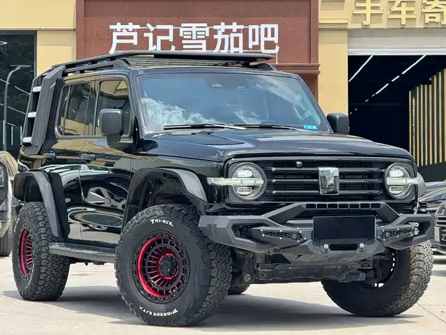 2023 TANK 300