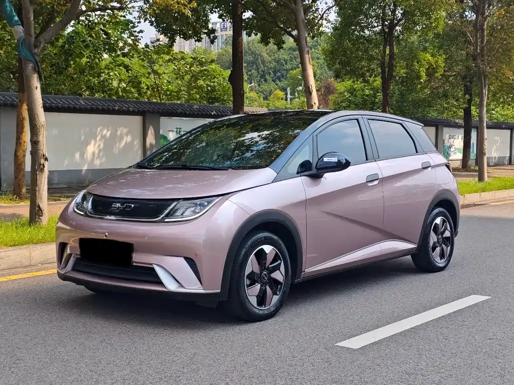 BYD Dolphin