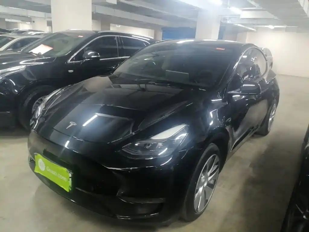 Tesla Model Y 2021 Standard Range RWD Edition