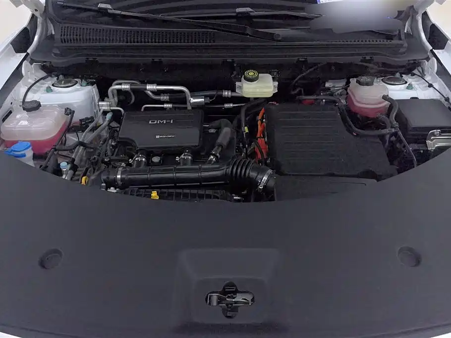 BYD SONGJIANG NEW ENERGY