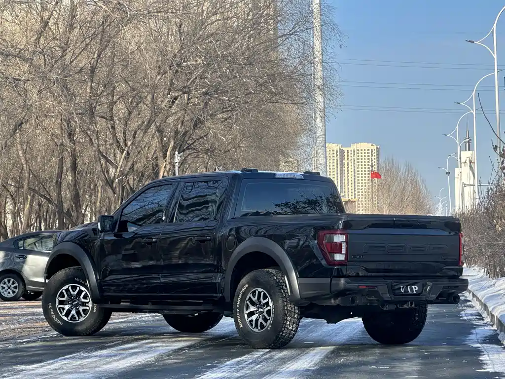 FORD F 150 RAPTOR