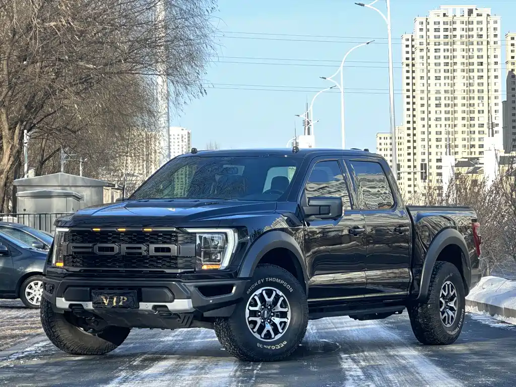 FORD F 150 RAPTOR