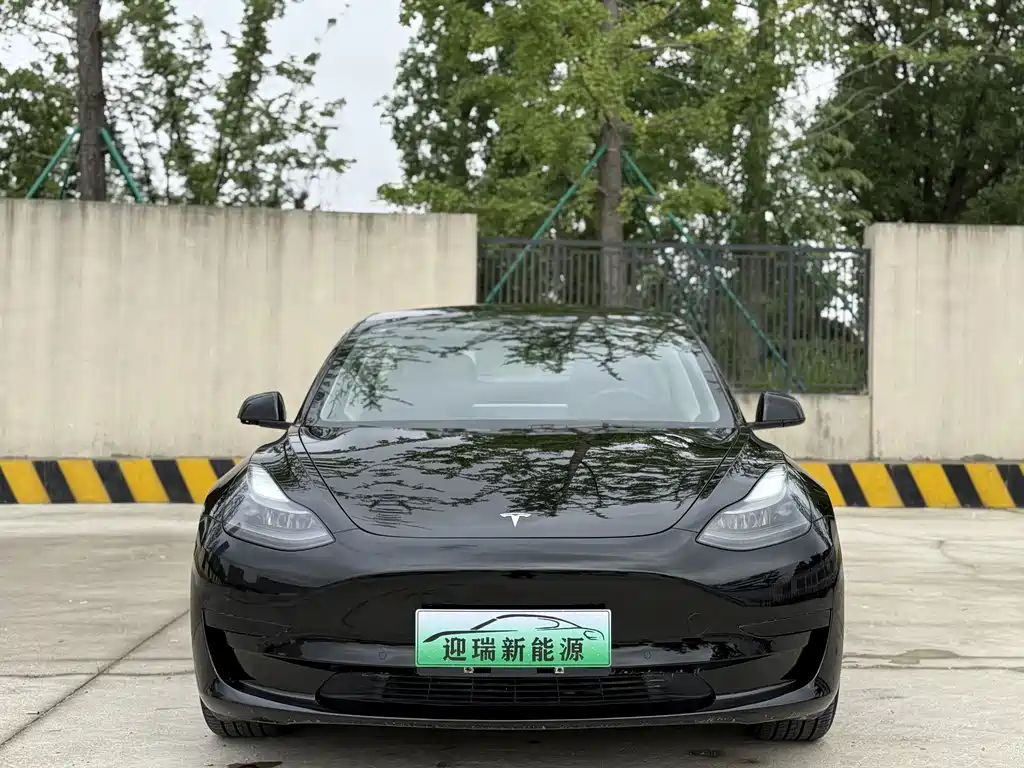 Tesla Model 3 2021 3D1