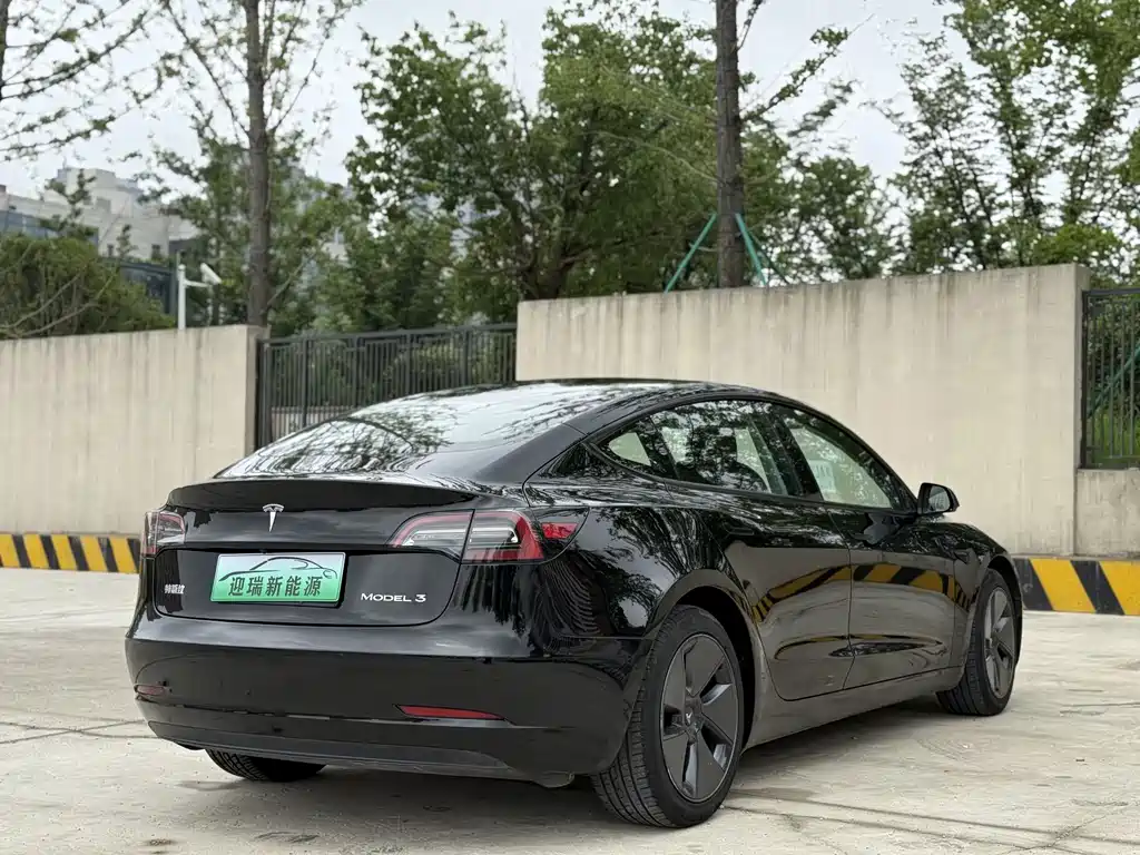 Tesla Model 3 2021 3D1