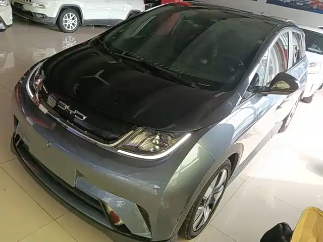2023 BYD Dolphin