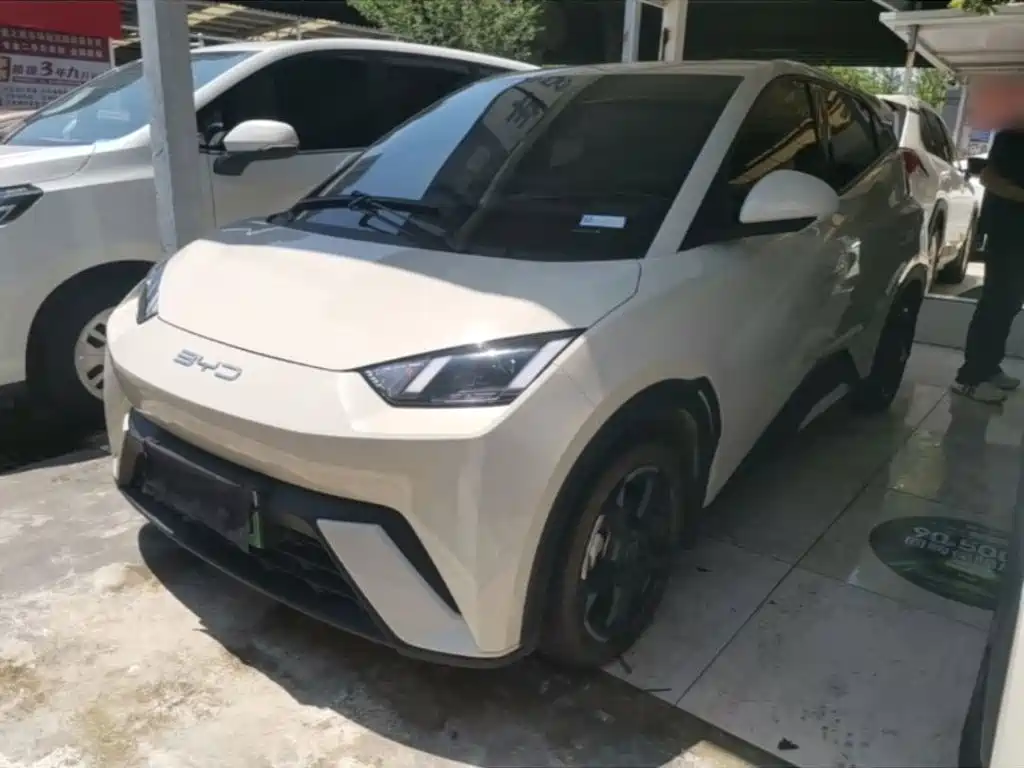 BYD Seagull