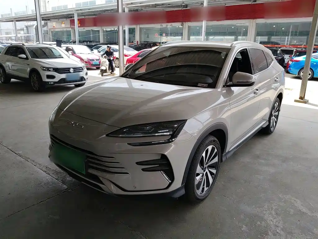 Byd PLUS New Energy 2024