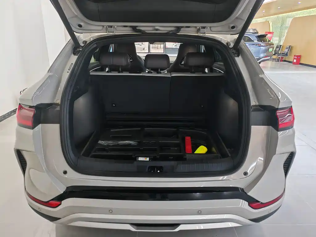 BYD SONGJIANG NEW ENERGY