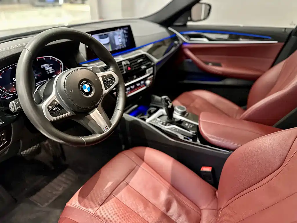BMW 5 Series 5 2020 530Li Premium M Sport