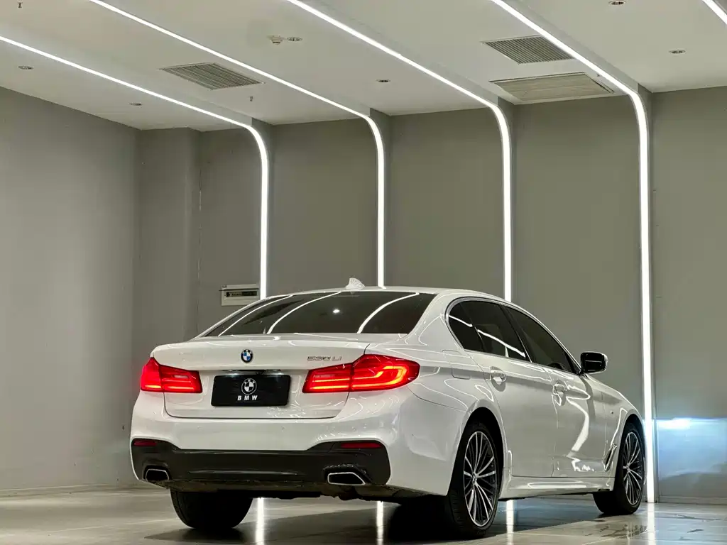 BMW 5 Series 5 2020 530Li Premium M Sport