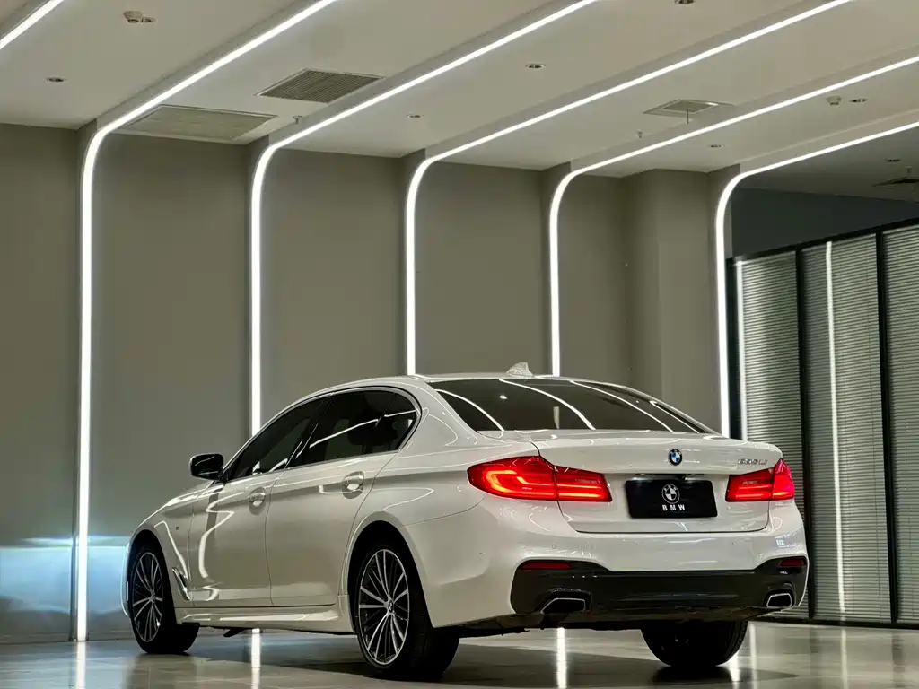 BMW 5 Series 5 2020 530Li Premium M Sport