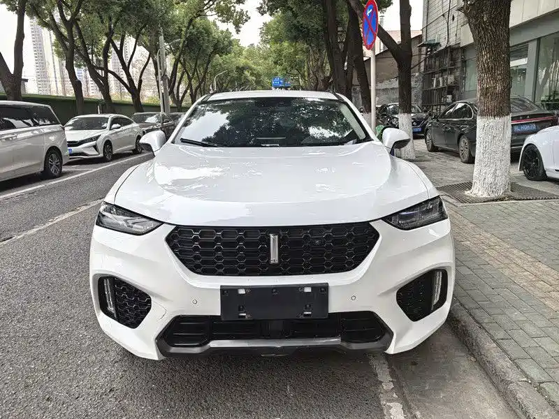 Wey Wey VV7 — миниатюра 2