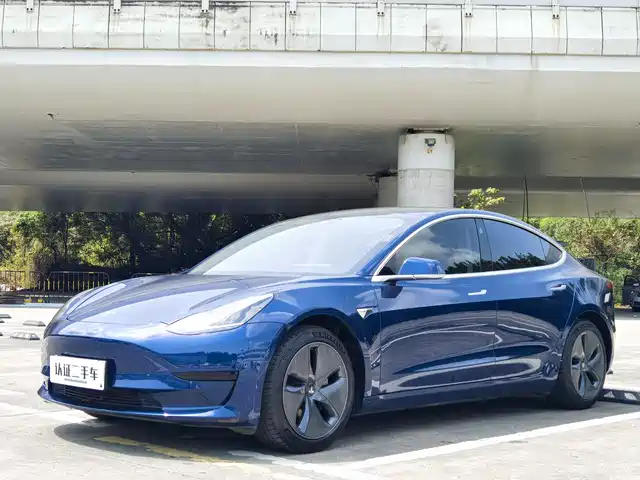 TESLA MODEL 3 2020