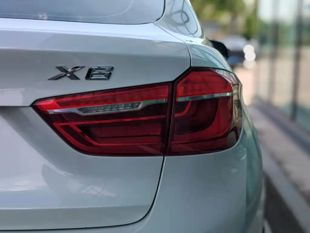 BMW X6 xDrive35i Leading Type, фото 12