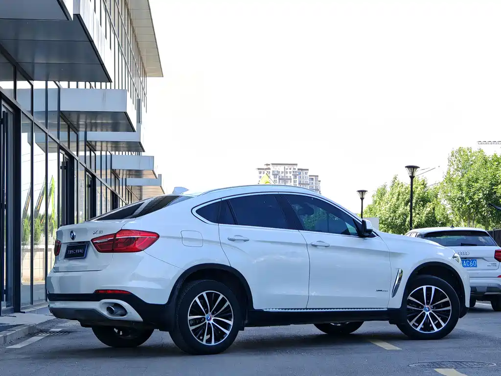 BMW X6 xDrive35i Leading Type, фото 4