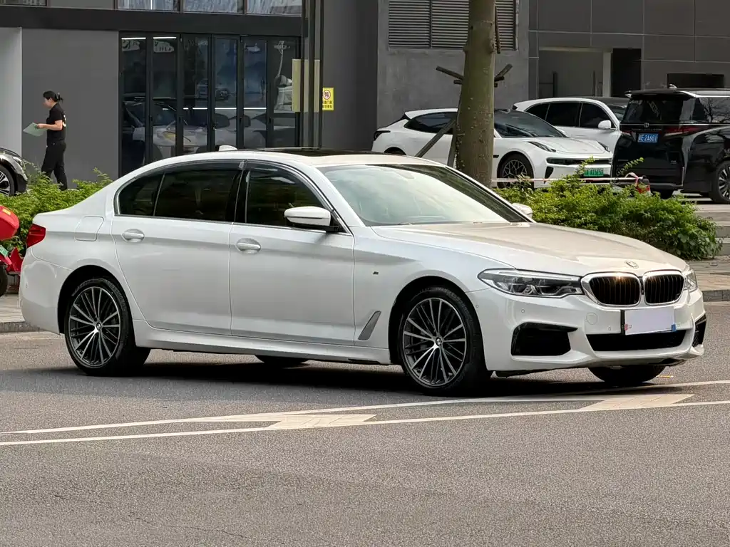 BMW 5 Series 5 2020 530Li Premium M Sport