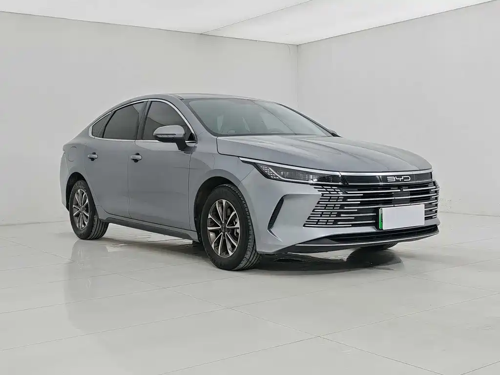 BYD Destroyer 05 2024 DM-i 55KM Luxury