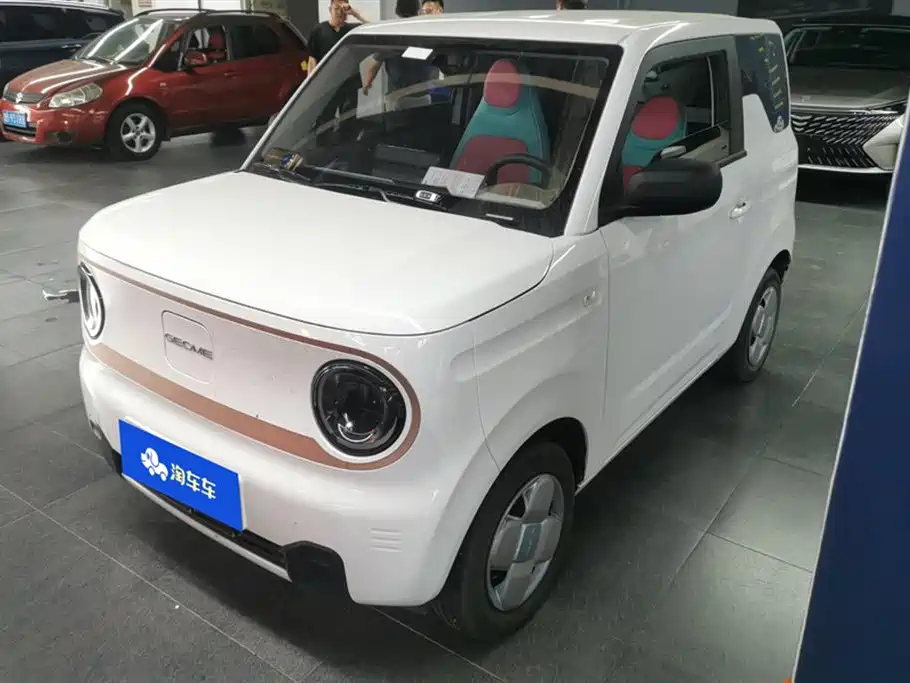 BYD Panda 2024 Panda mini 200km Endurance Bear