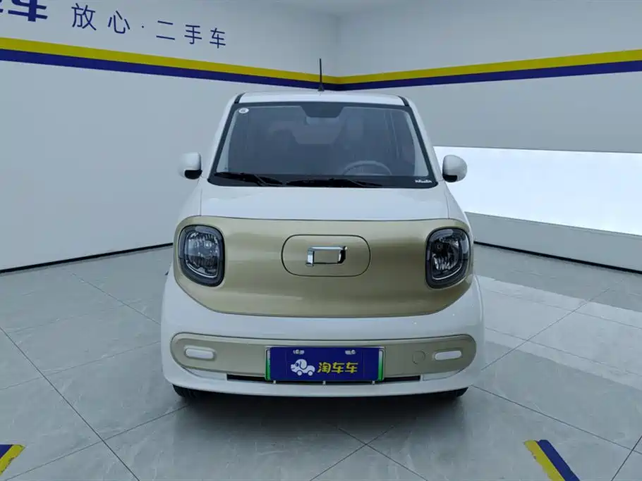 BESTUNE PENTIUM PONY