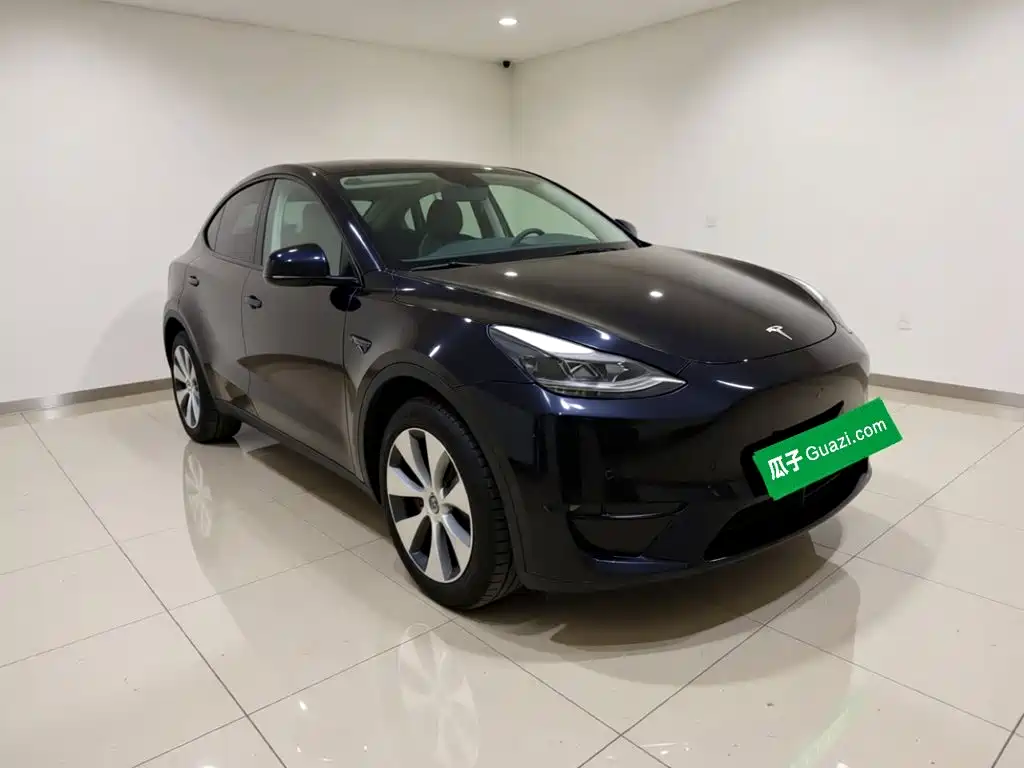 Tesla Model Y — миниатюра 3