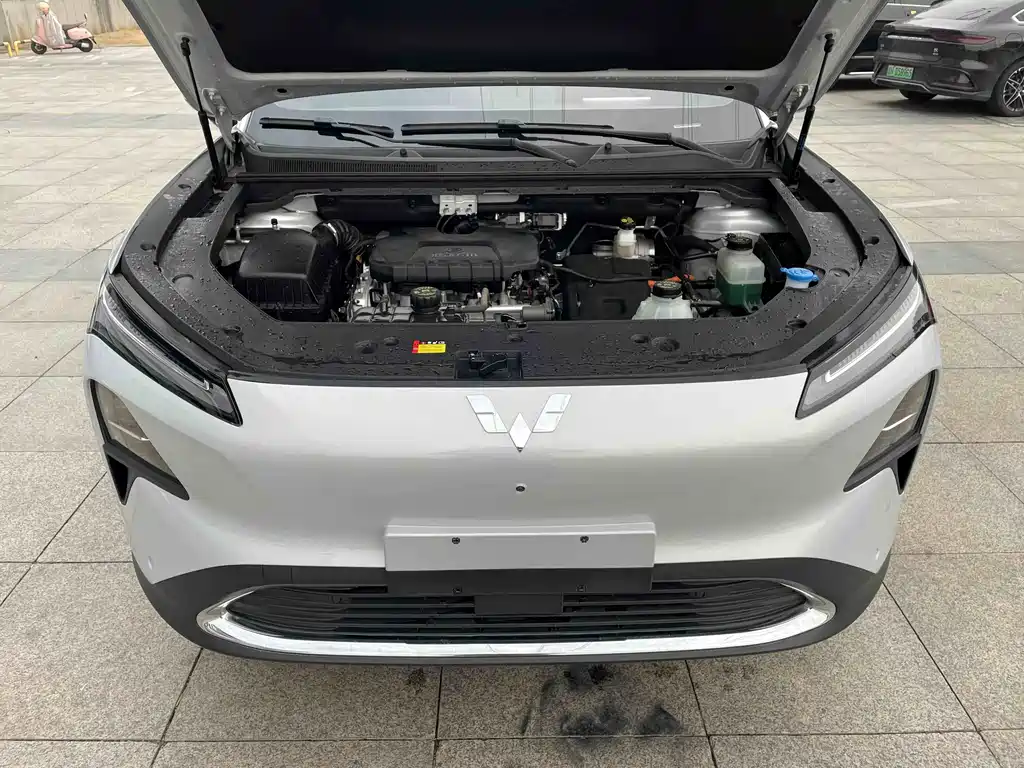 WULING WULING XINGGUANG S