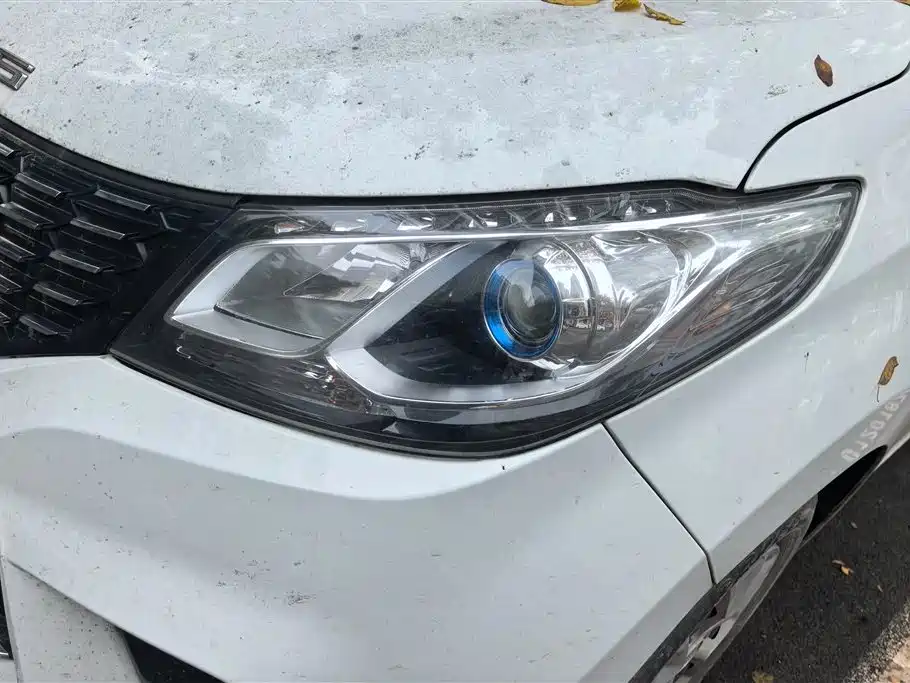 SAIC MAXUS CHASE G10