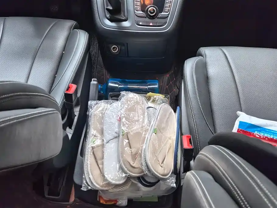 SAIC MAXUS CHASE G10