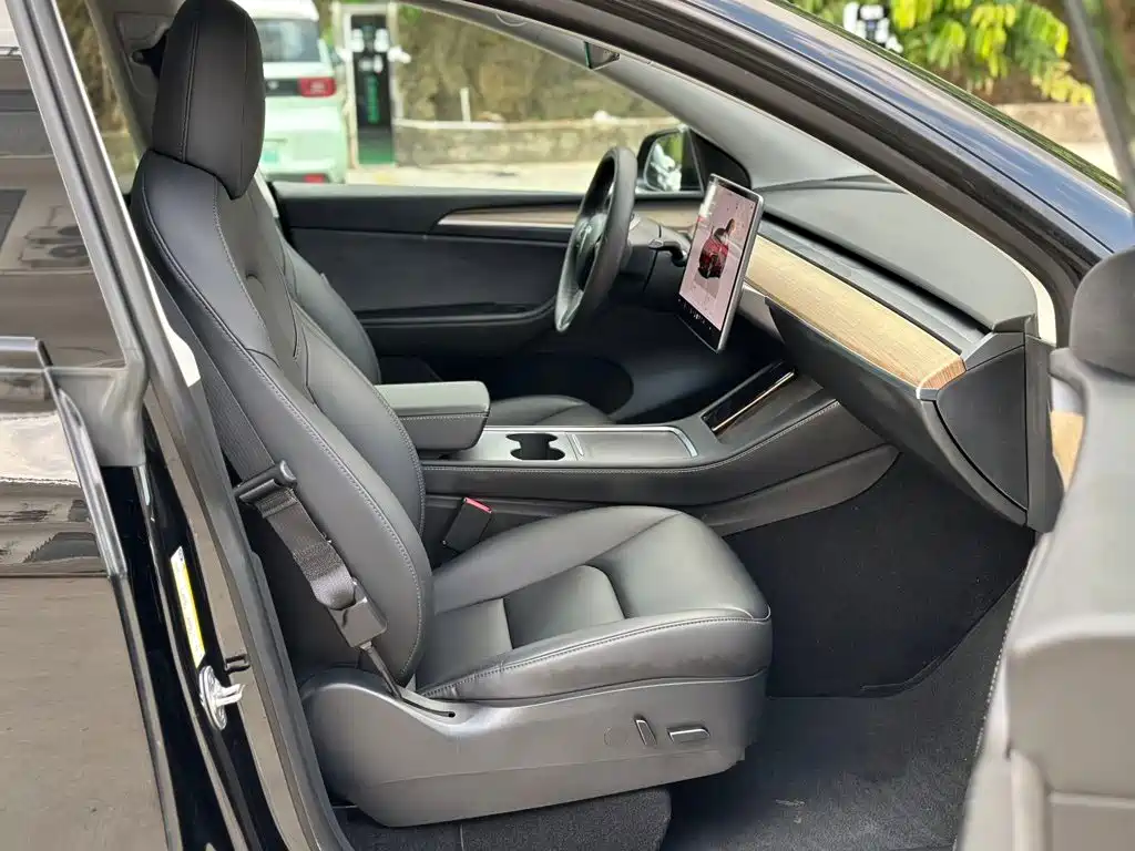 Tesla Model Y — миниатюра 5