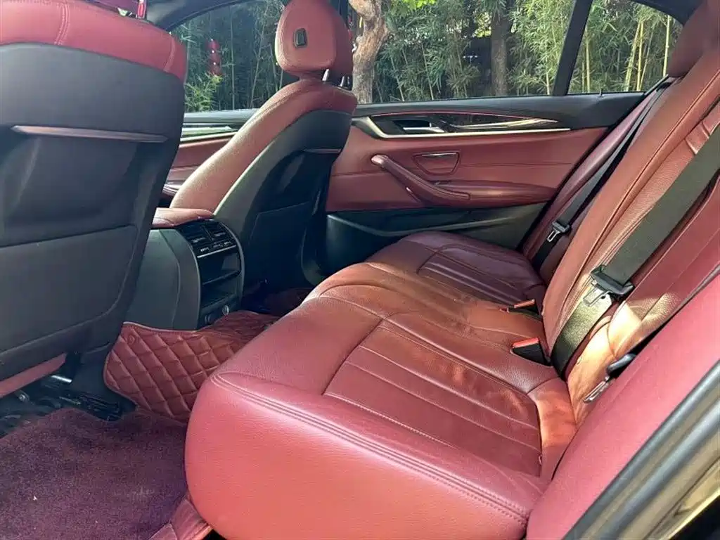 BMW 5 Series 5 2019 530Li Lead M Sport