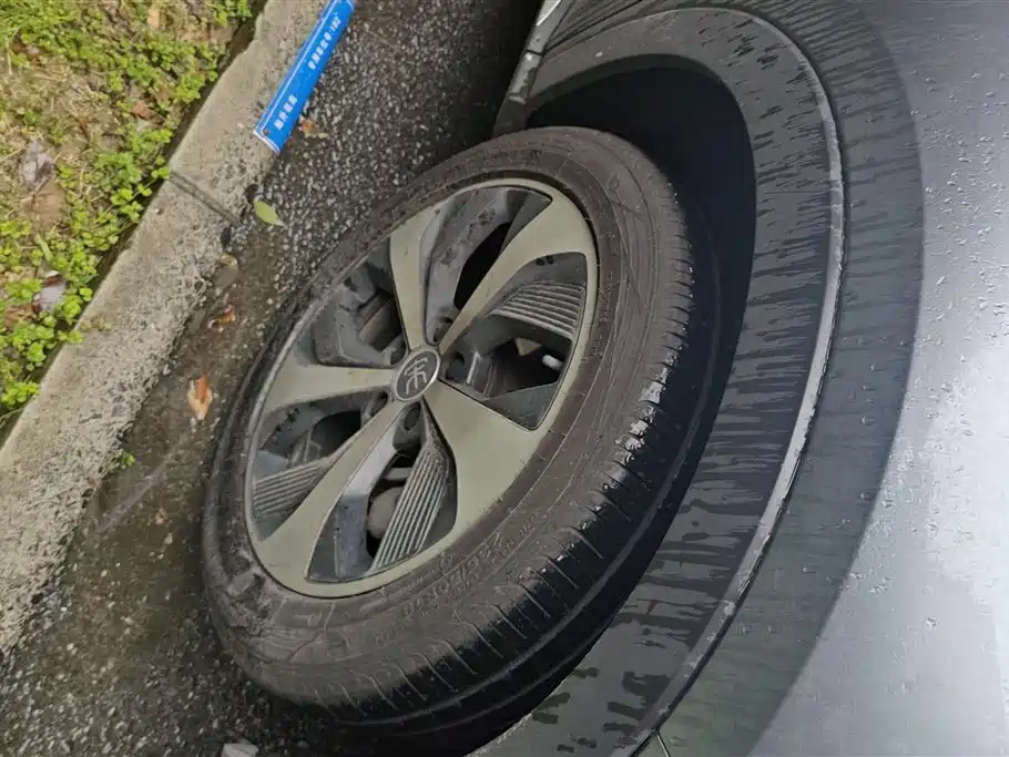 BYD SONGJIANG NEW ENERGY