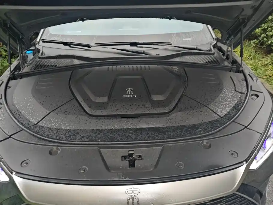 BYD SONGJIANG NEW ENERGY