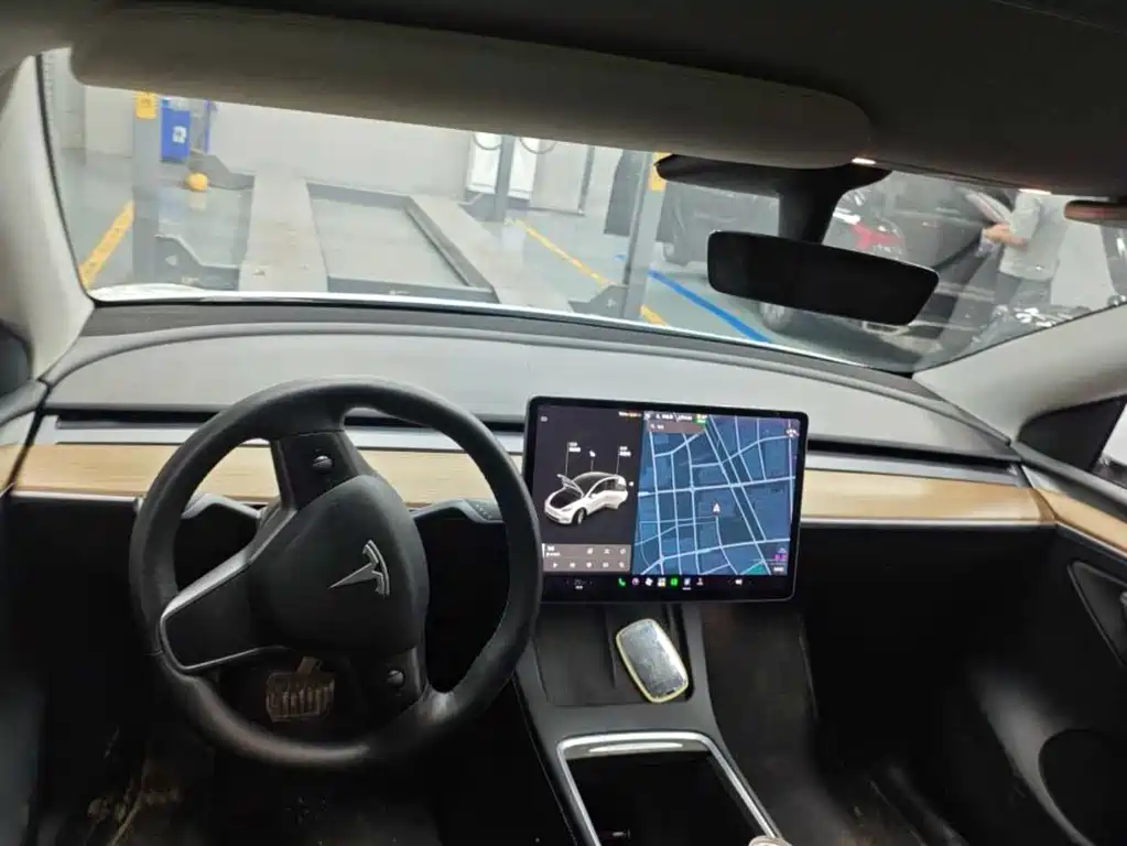 Tesla Model Y — миниатюра 6