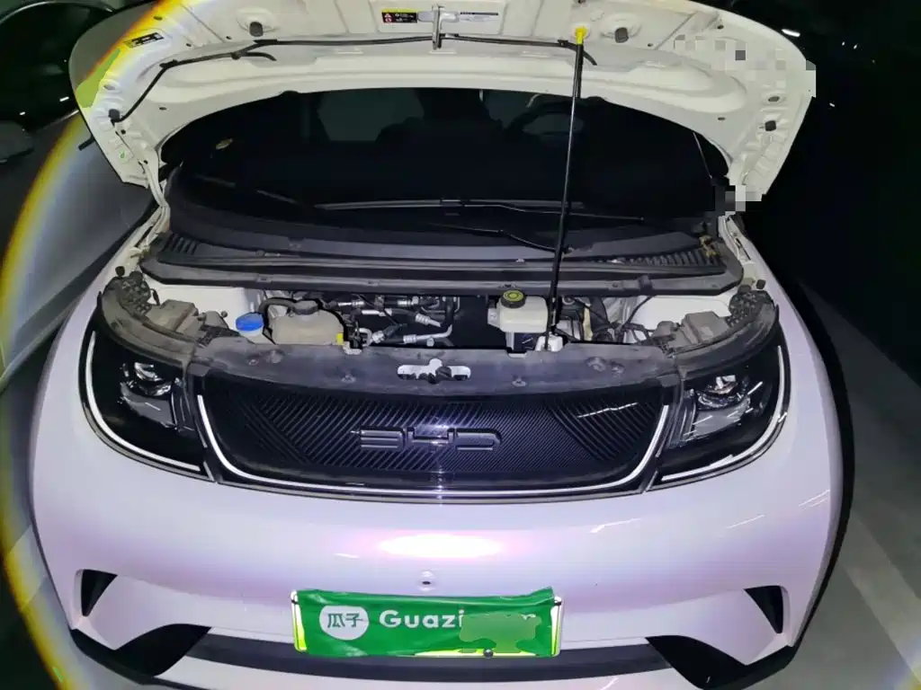BYD Dolphin — миниатюра 21